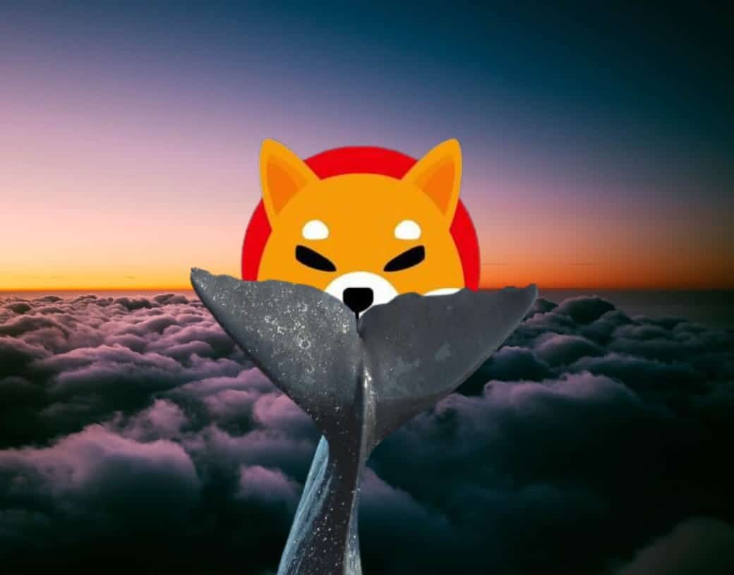 An Ethereum (ETH) Whale Fills His New Shiba Inu (SHIB) Wallet
