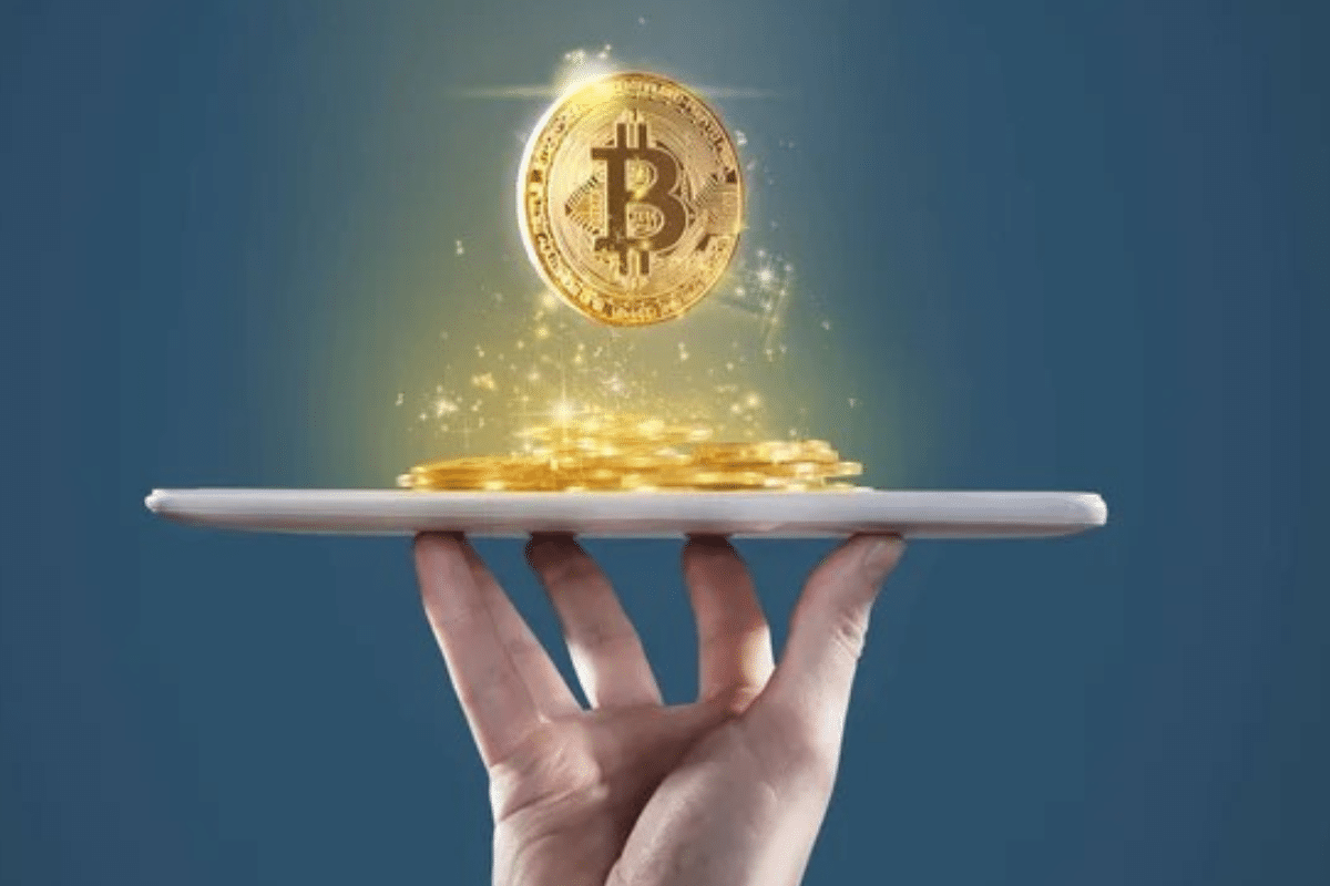 The US government is considering a liquidation of Bitcoins
