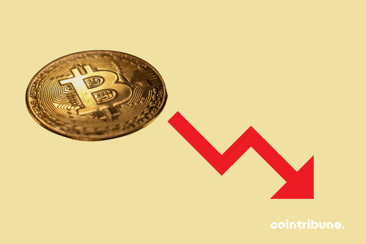 Bitcoin (BTC) tumbles to $25,000: The flagship crypto in the midst of a sinking