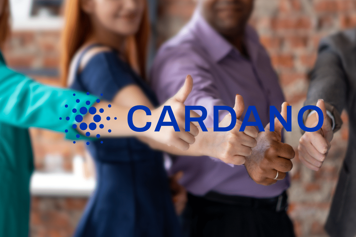 Booming Cardano: Over 2,400 new wallets added every day!