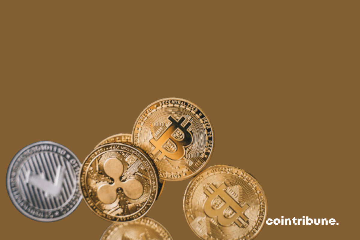 Cryptos, risky gambling according to an executive of the European Central Bank (ECB)