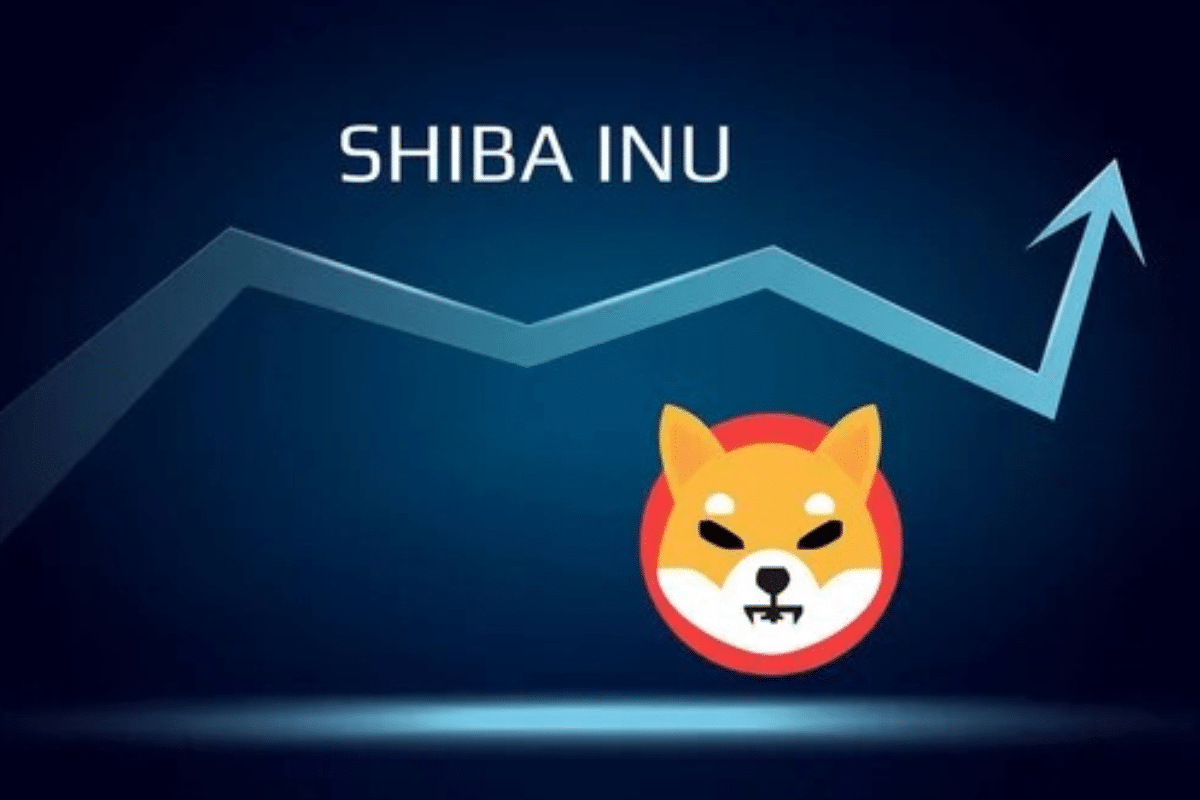 Shiba Inu on the rise before the Shibarium update