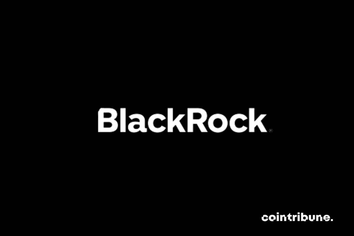 Bitcoin ETF: BlackRock's request has a 50% chance of succeeding according to an expert