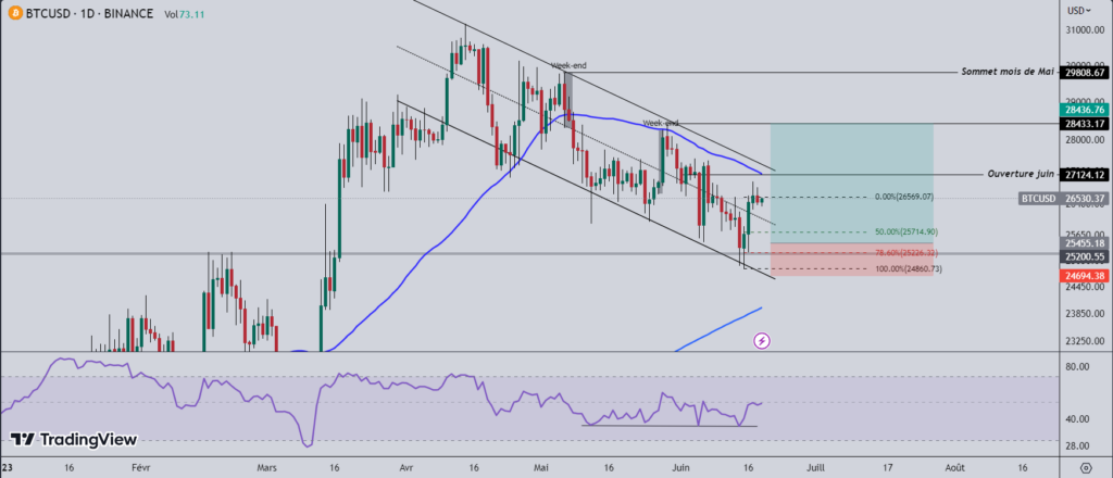 bitcoin bull run