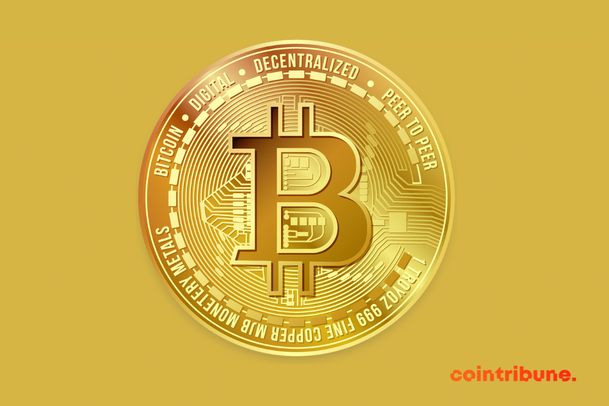 2023: The year of the consecration of Bitcoin (BTC)?  70% of Americans think so!