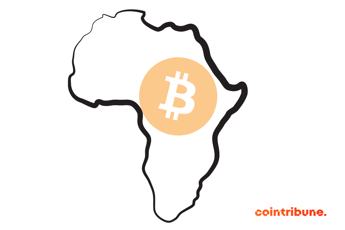 Cryptos in Africa: 6 countries dominate the market