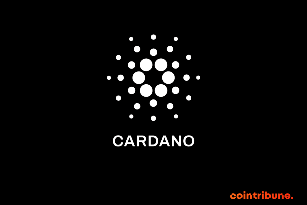 Crypto: Will Cardano's ADA Dethrone Bitcoin and Ether?