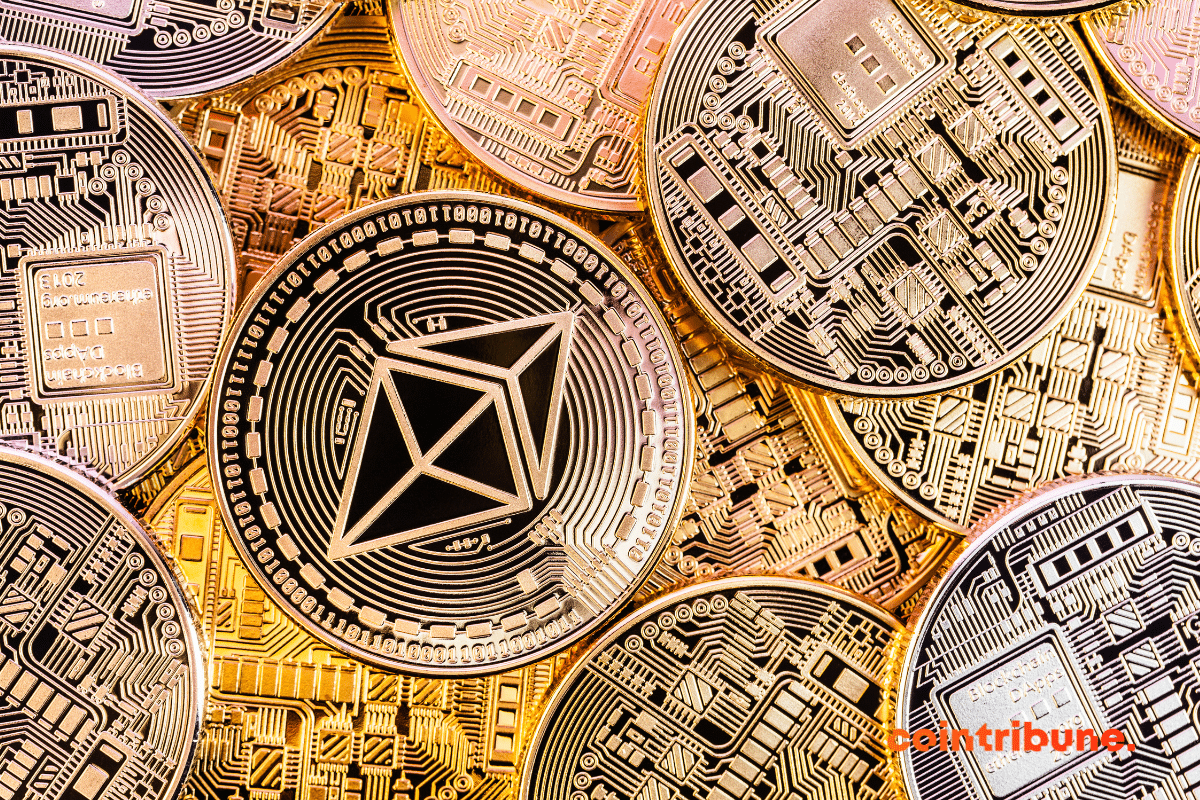 Signs of a bull market: Cryptos ready to take off?