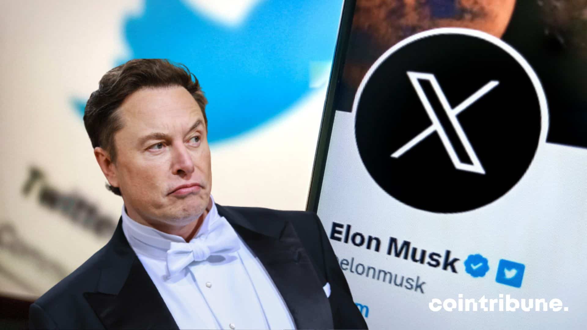 Elon Musk reaffirms that X (Twitter) has no plans to launch a crypto