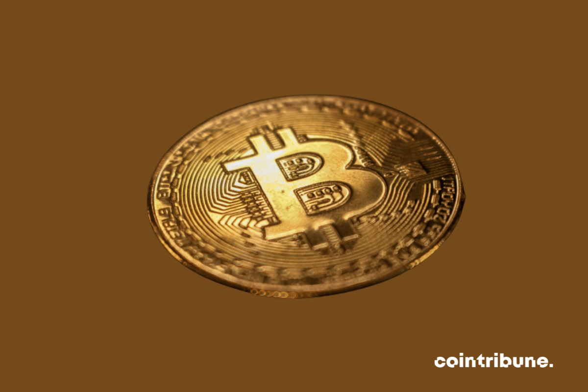 Recent Bitcoin Liquidation Will Have “Limited Impact” on Cryptos