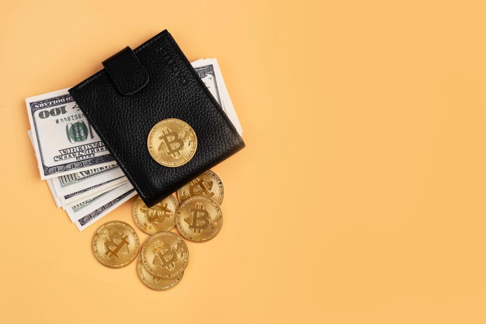 Secure crypto wallet: Only 6 offer real protection