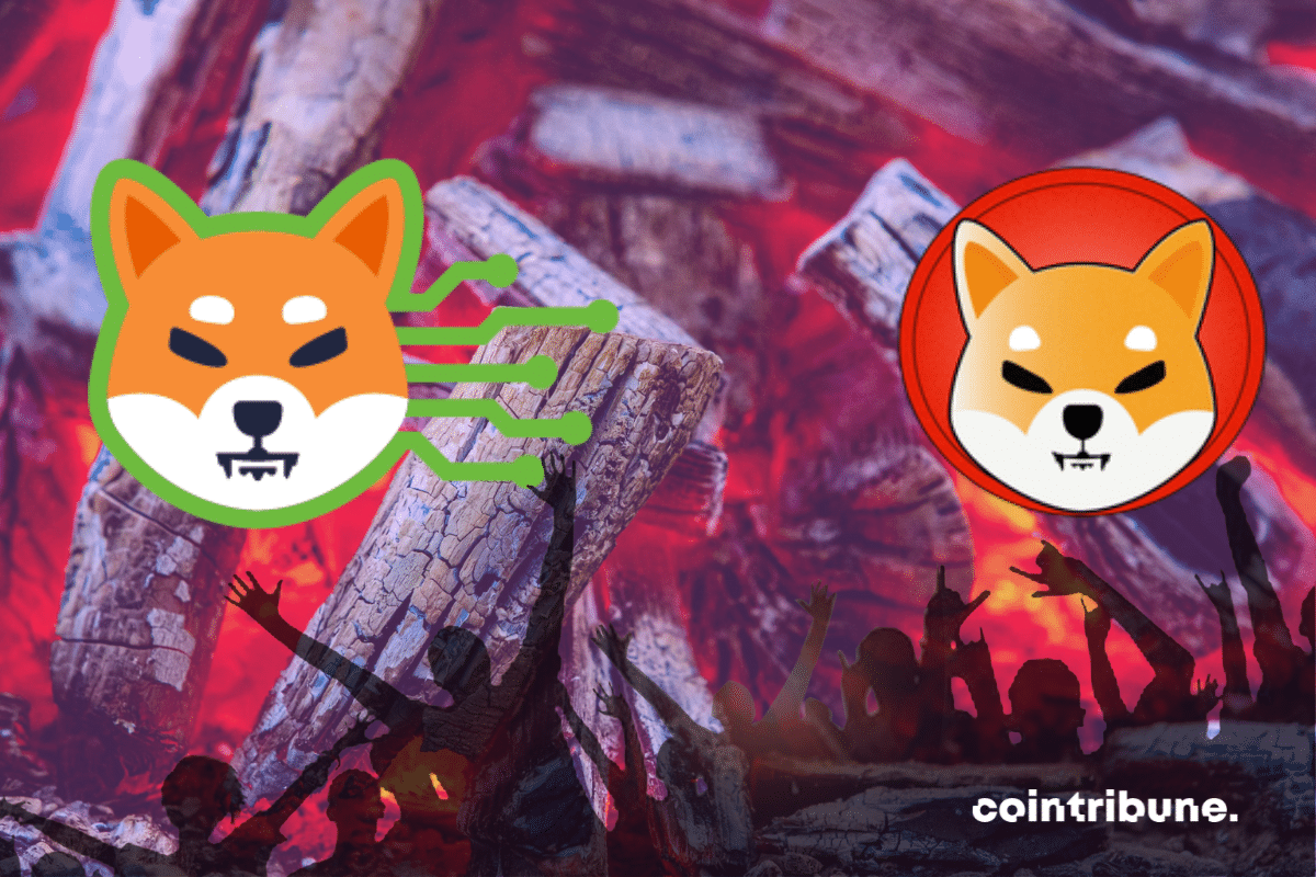 Shiba Inu: Soon a burn portal for Shibarium!