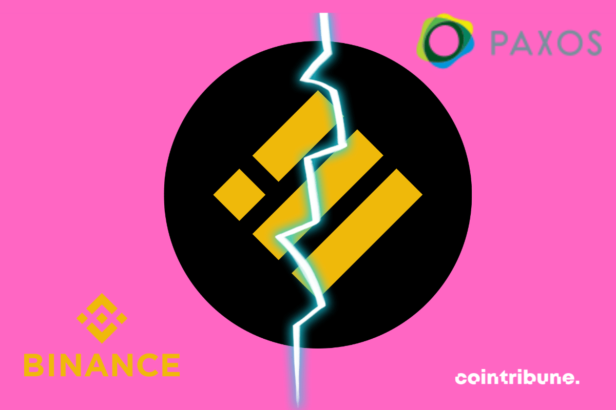 BUSD, end of course: Binance promotes another crypto!
