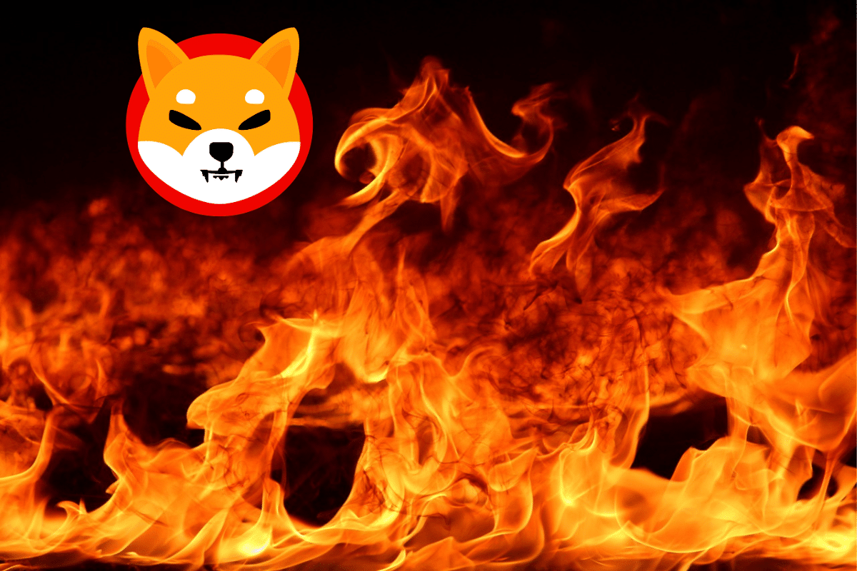 Crypto SHIBA INU (SHIB): a 330% burn