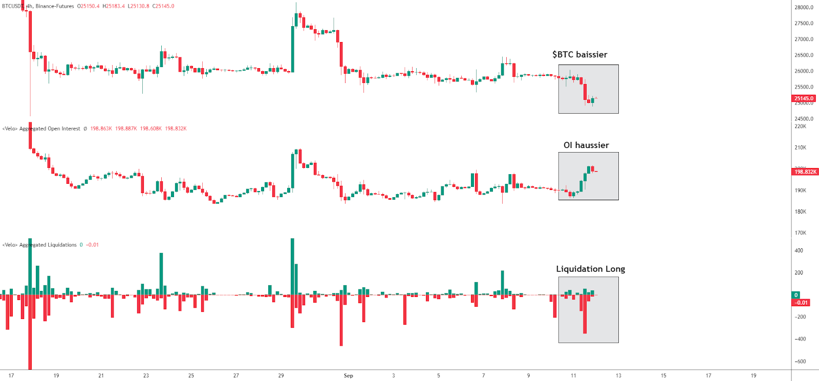 Bitcoin: Open Interest & Liquidation BTCUSDT