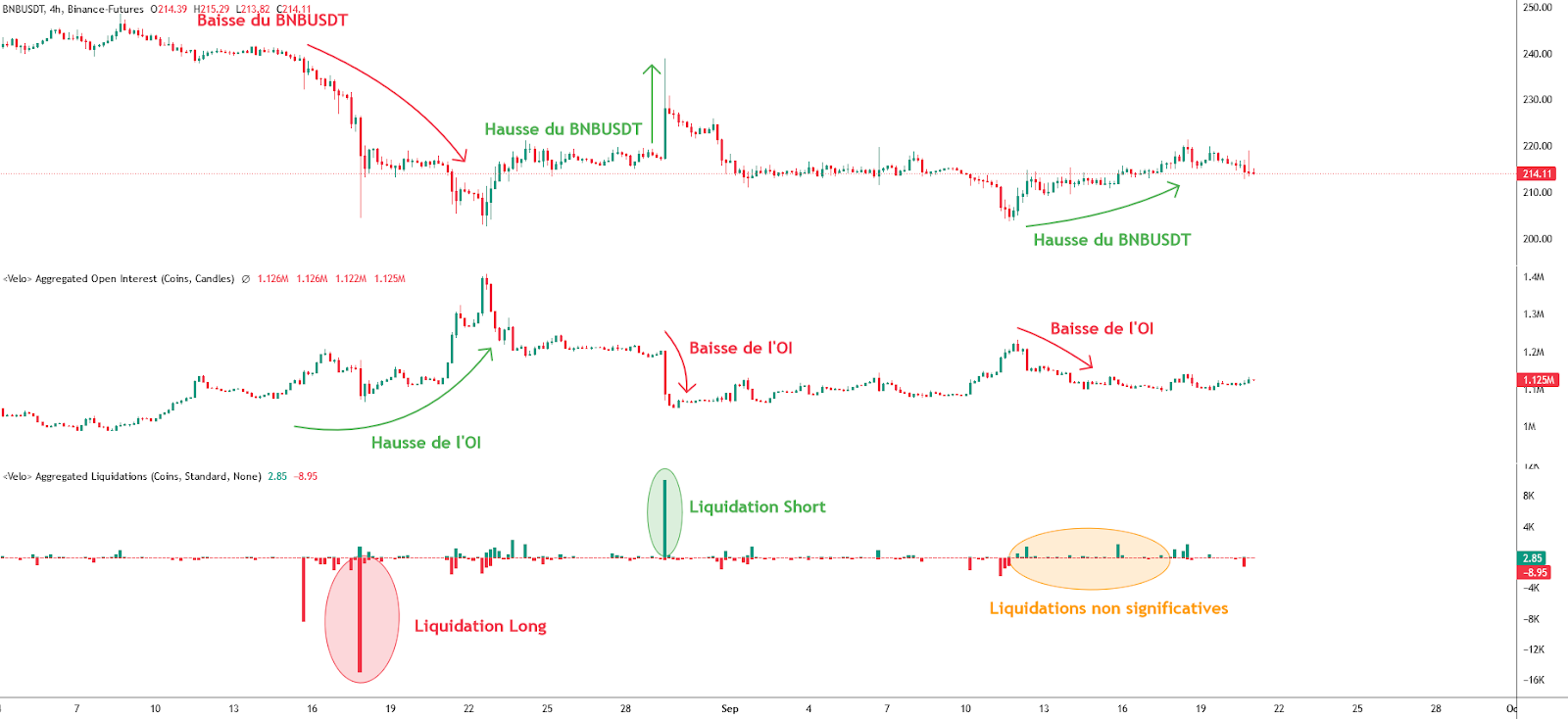 Open Interest & Liquidation BNBUSDT