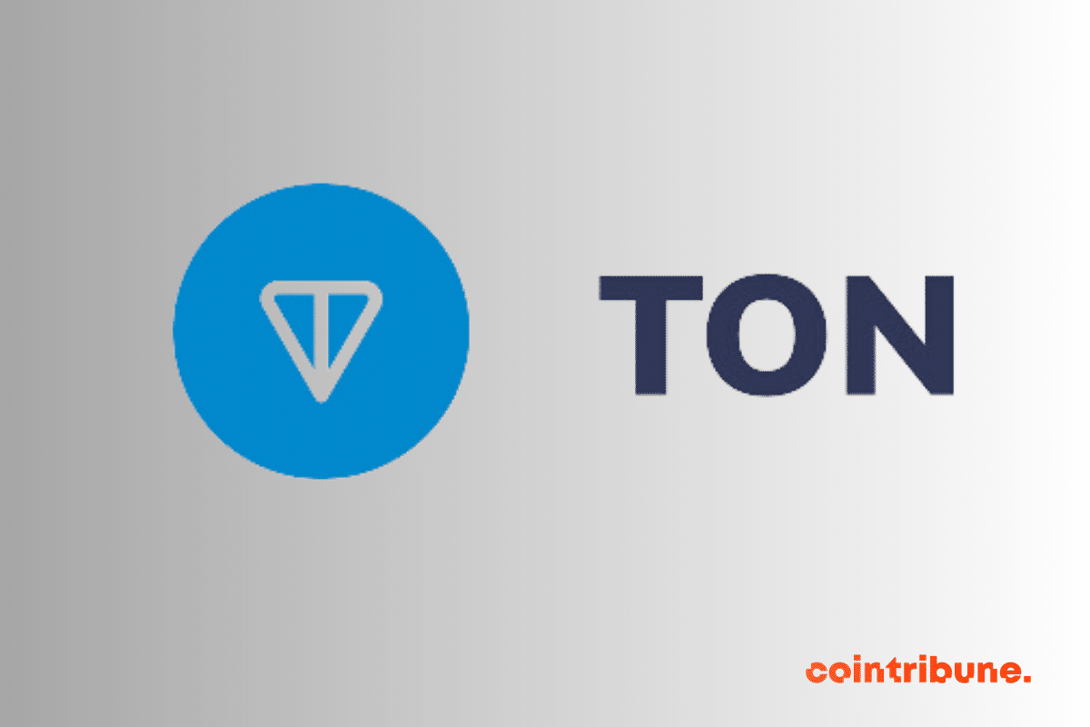 TON explodes the crypto market with an increase of 31% in one week!