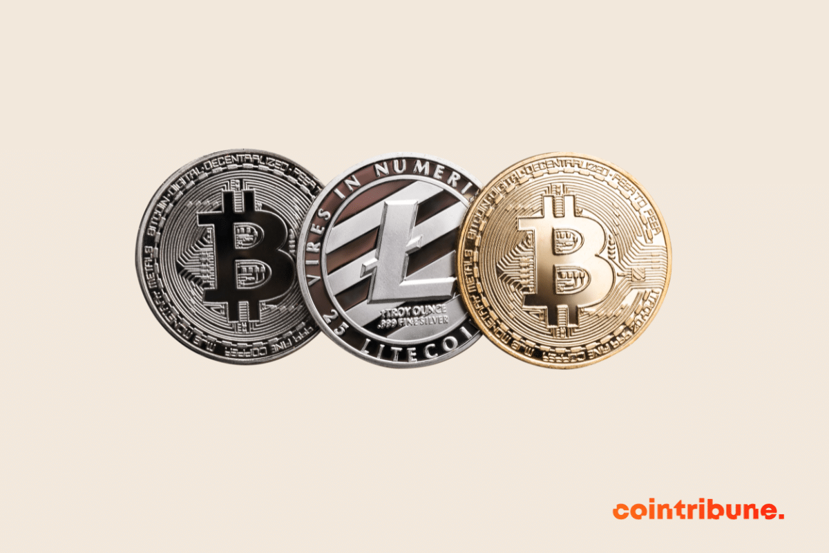 Crypto fund management: Growth of 1200% expected by 2028