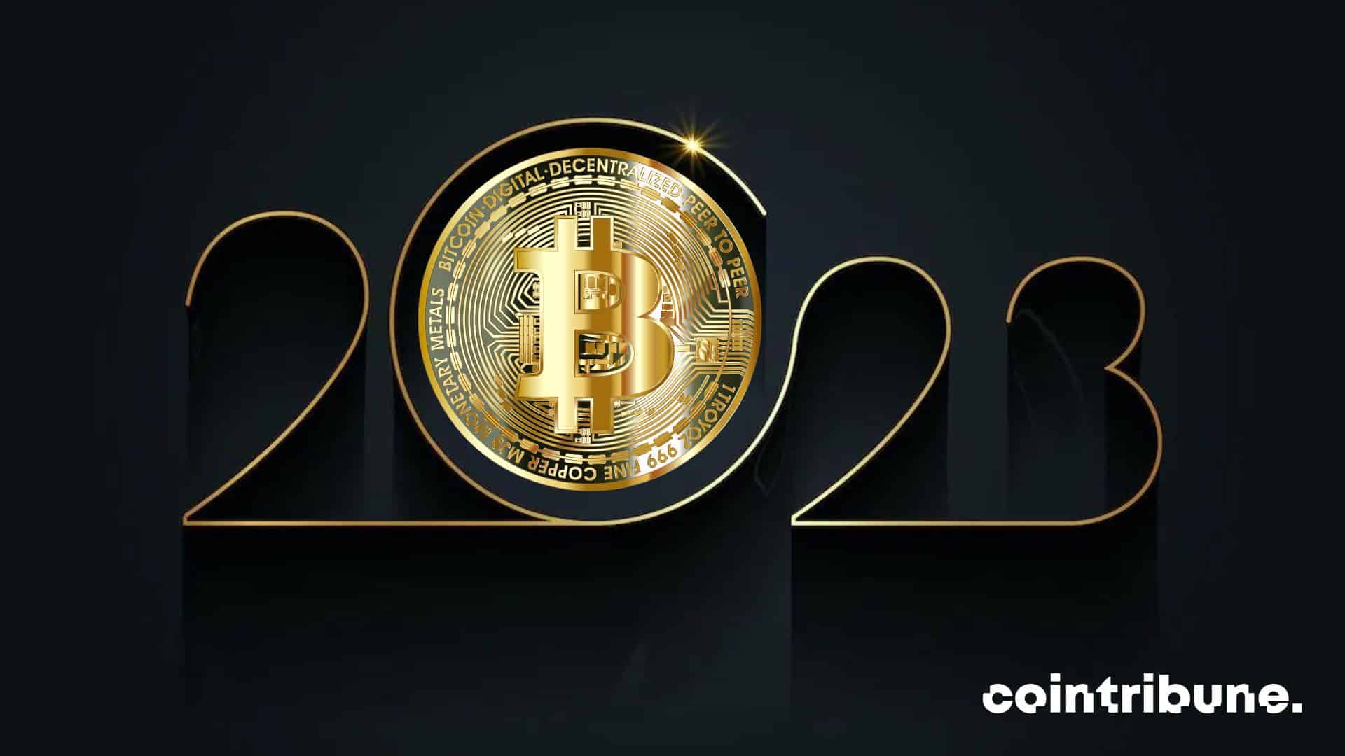 More than 6% of the population now hold crypto assets