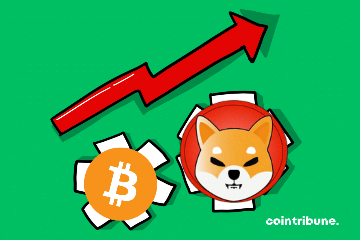 SHIB crypto on track to “erase a zero” – Thanks Bitcoin?