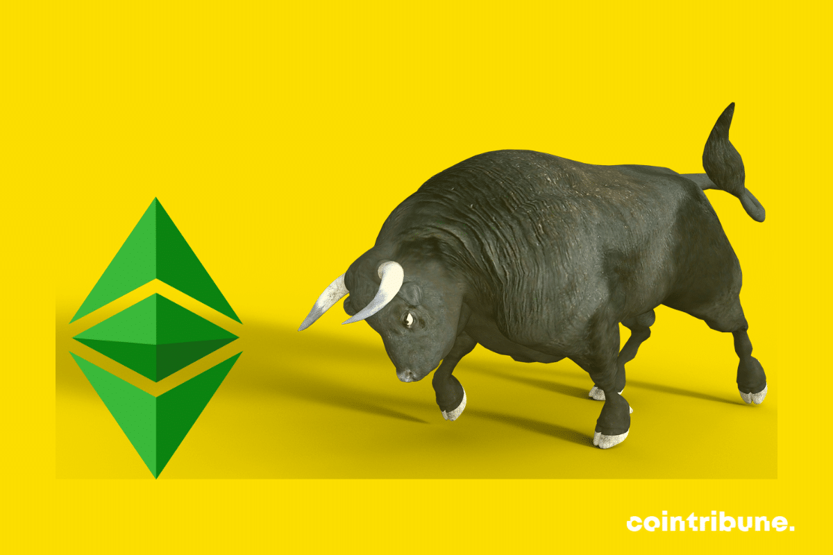 Ethereum (ETH): Crypto investors are having a blast!
