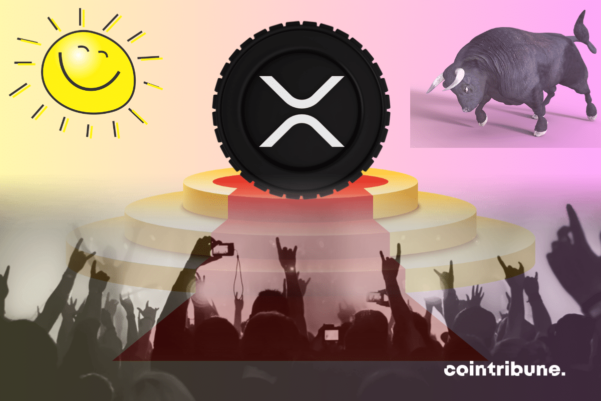 Crypto: BNB and XRP in tight competition!