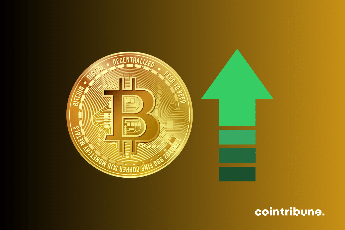 Crypto: The majority of bitcoin holders in net profit!