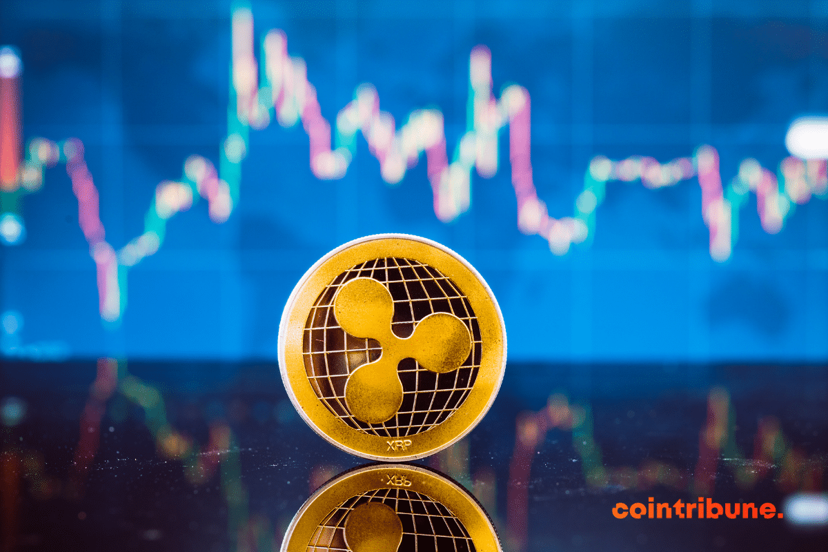 Crypto XRP: Traders are betting on a spectacular rally!