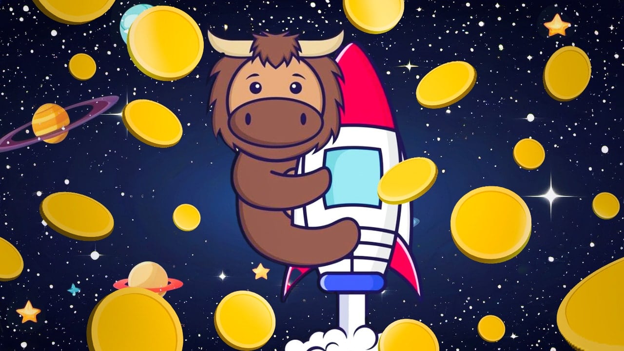 Discover these promising cryptocurrencies not to be missed!