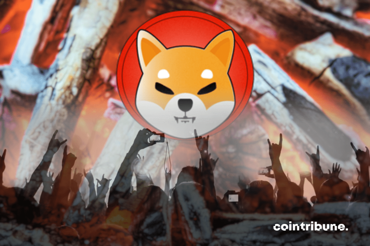 Has Shiba Inu (SHIB) found its second wind?