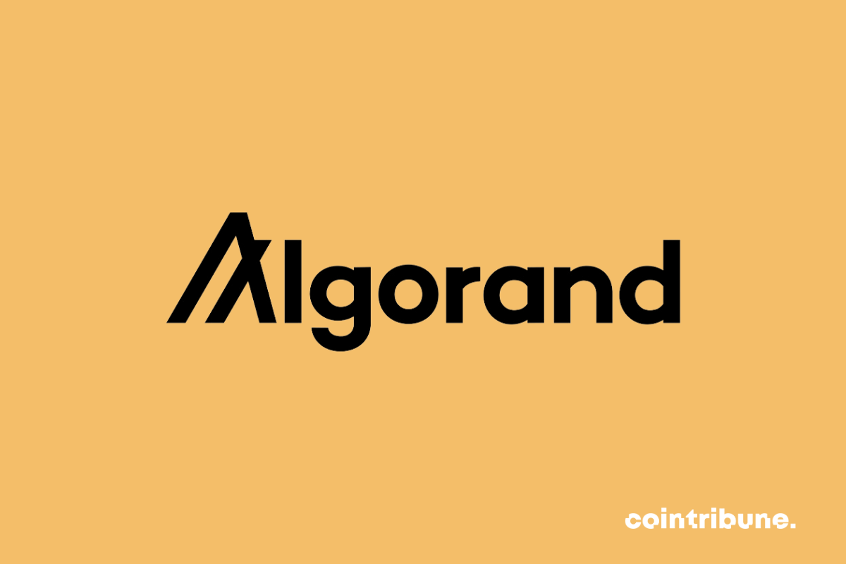 Algorand achieves a masterstroke in the Indian Web3 ecosystem
