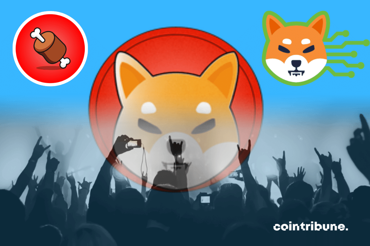 Shiba Inu: New records on Shibarum, 105 million transactions!