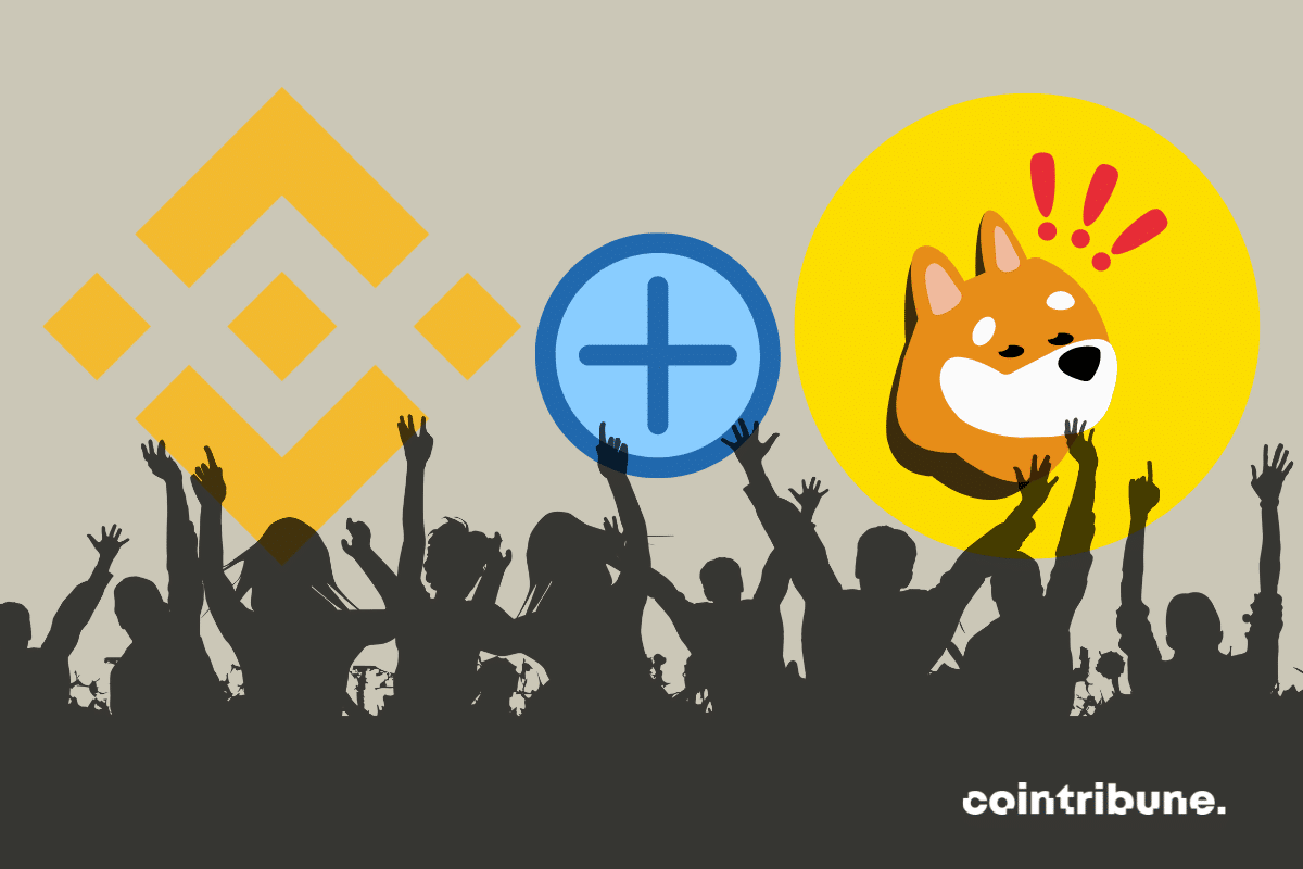 Crypto: Binance adds Bonk (BONK) after a major cleaning!