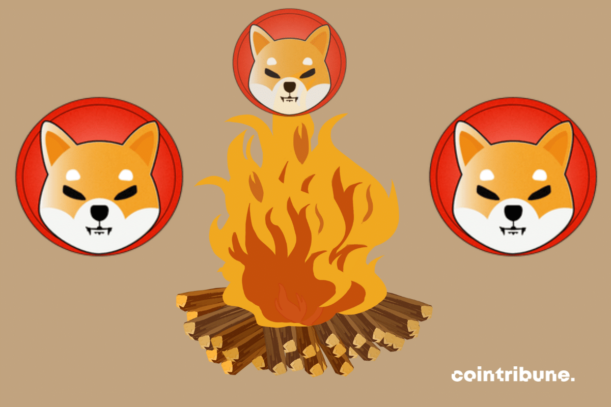 Shiba Inu: Developer Da Vinci makes a relevant and resounding call!