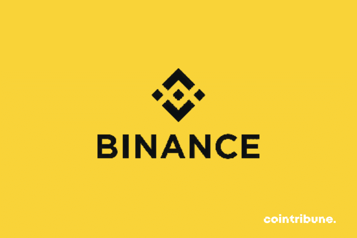 Binance in turmoil: The exchange faced with a serious data breach!