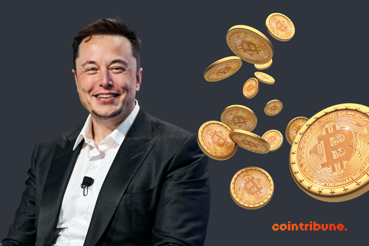 Crypto: The last of Elon Musk's worries?