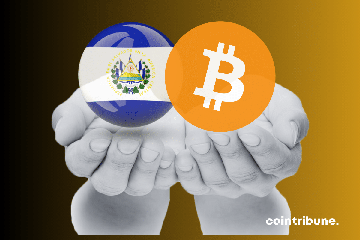 Bitcoin: El Salvador offers free citizenship to BTC donors