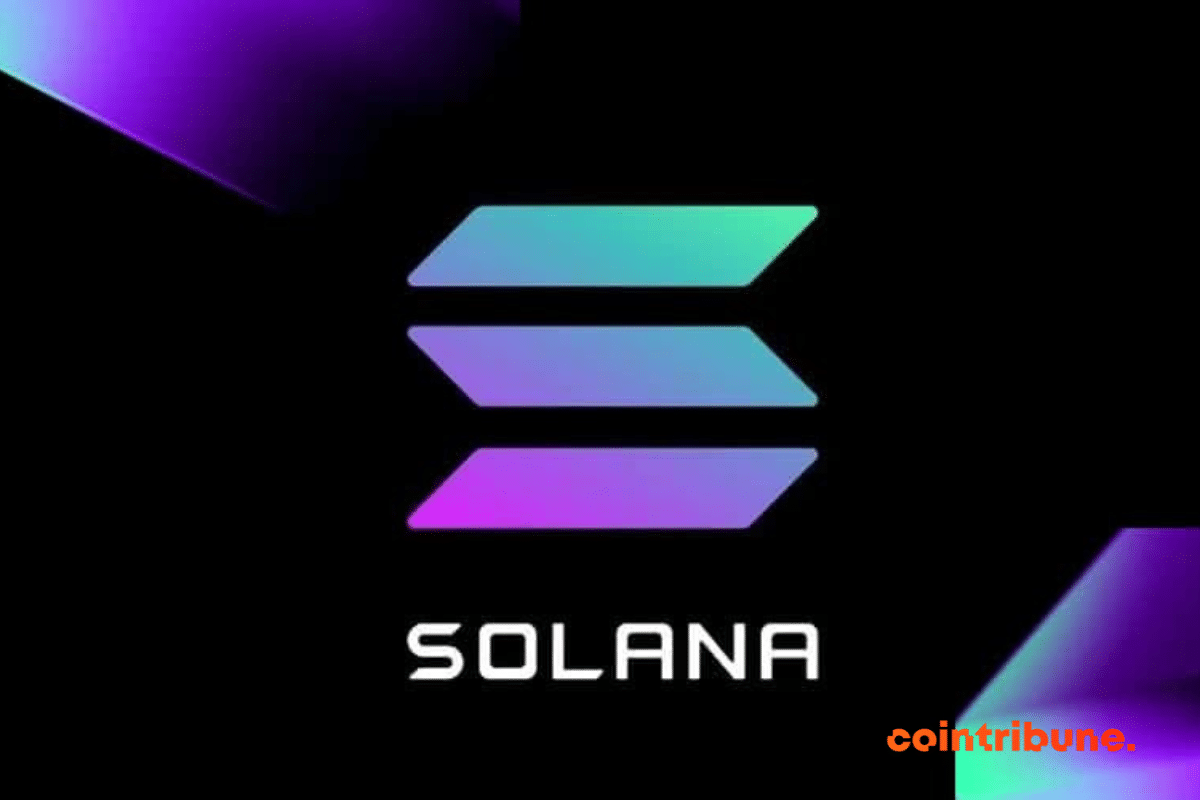 Crypto: Solana rebounds after a brutal fall