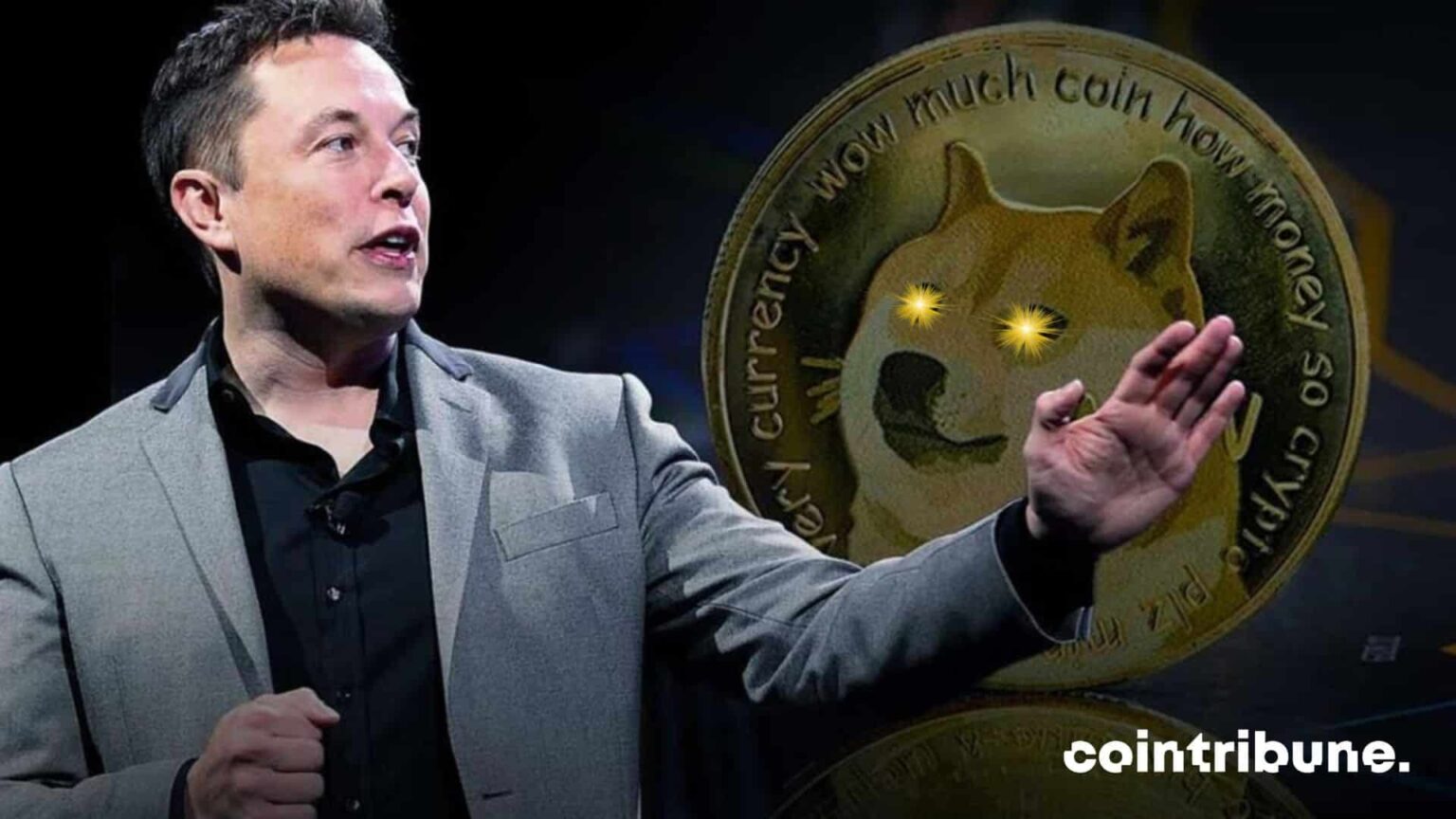 Crypto Dogecoin Resists Despite Elon Musk s Disinterest Tremplin io