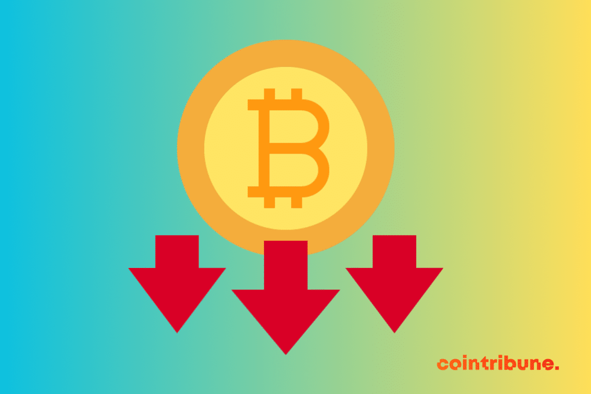 Bitcoin: The reasons behind the collapse of the crypto market