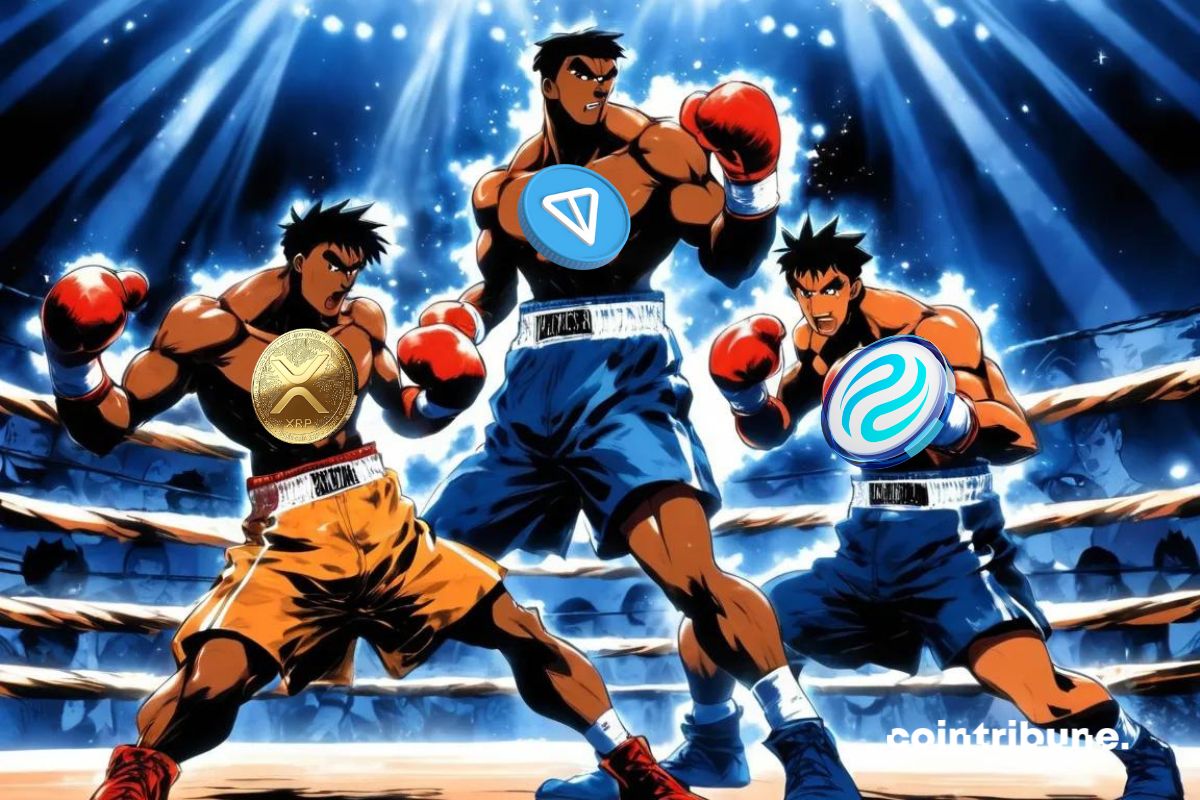 TON, INJ and XRP - The best performing cryptos of the day!