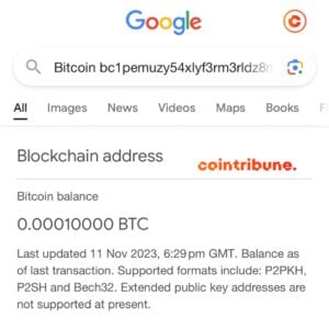 Google's display of Bitcoin address balances raises a debate in the crypto community!  Transparency or violation of privacy?