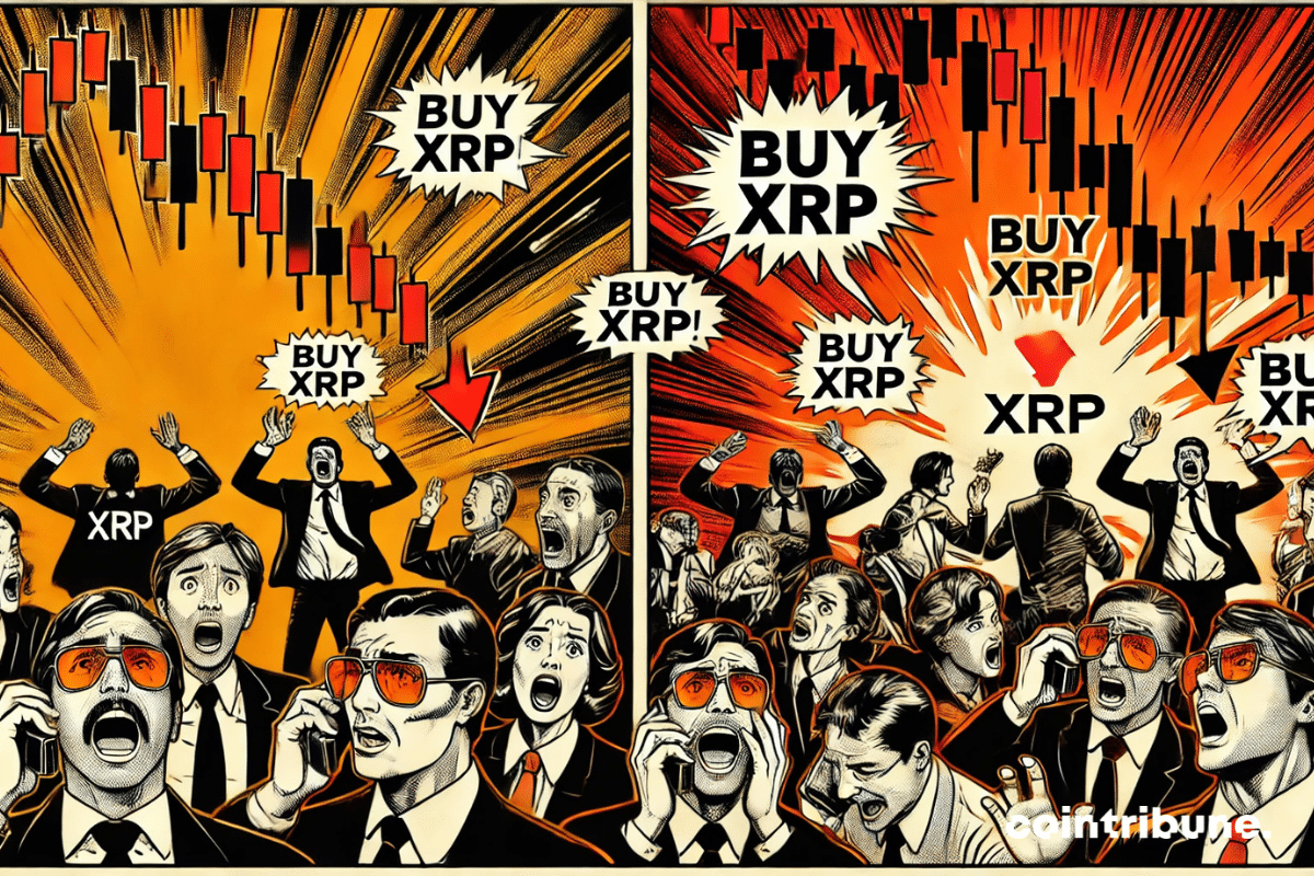 Crypto: XRP falls suddenly ... and attracts a wave of massive purchases!