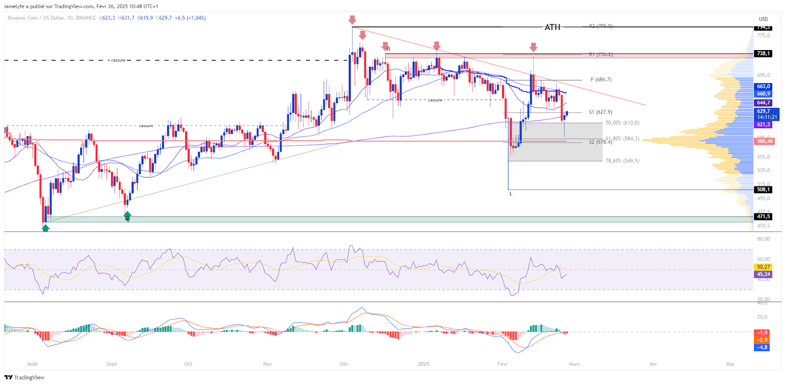 BNBUSD graphic in day laborers