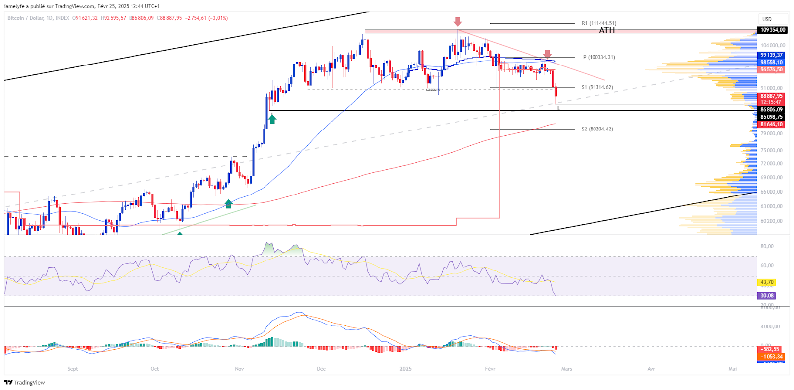 BTCUSD graphic in day laborers