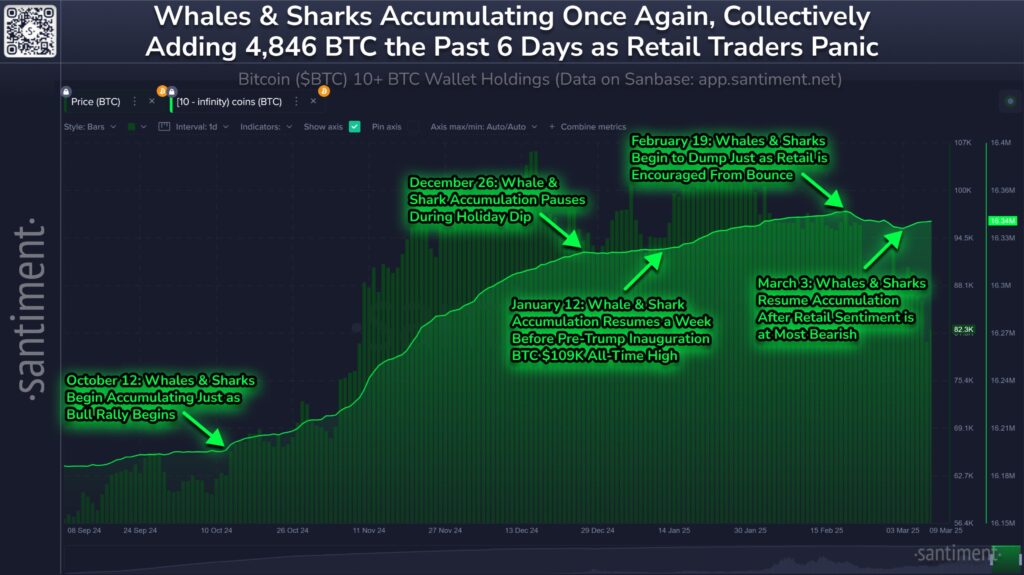 Large Bitcoin portfolios have accumulated nearly 5,000 BTC since March 3