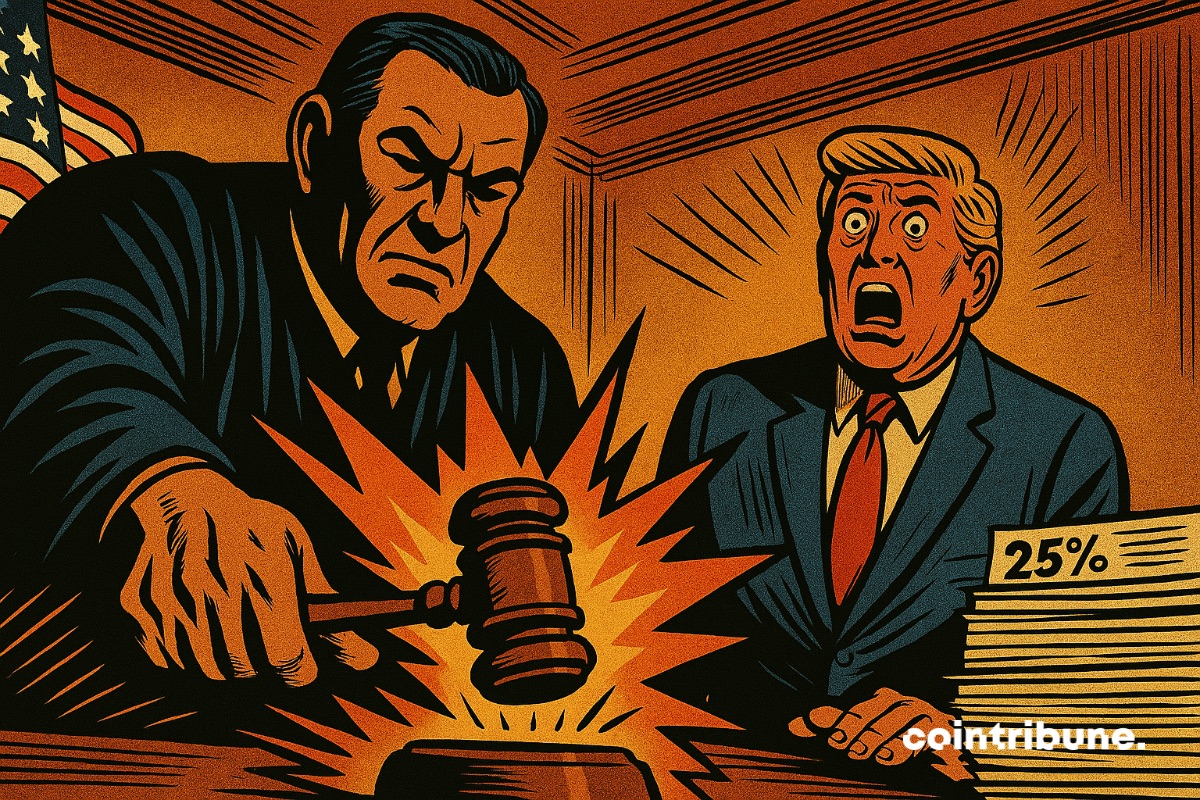 An American court inflicts a camouflet on Donald Trump on his customs duties