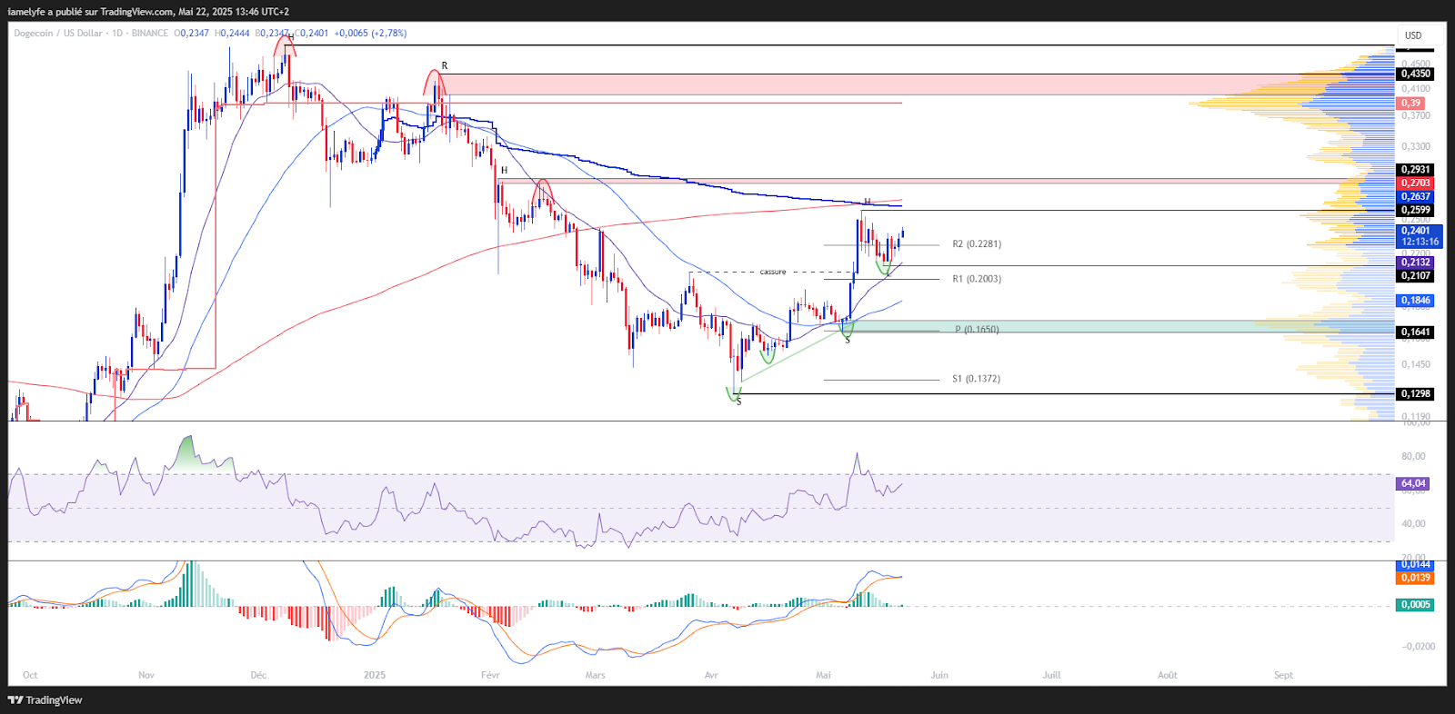 Dogeusd graphic in day laborers
