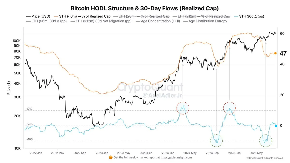 Bitcoin Hodl structure
