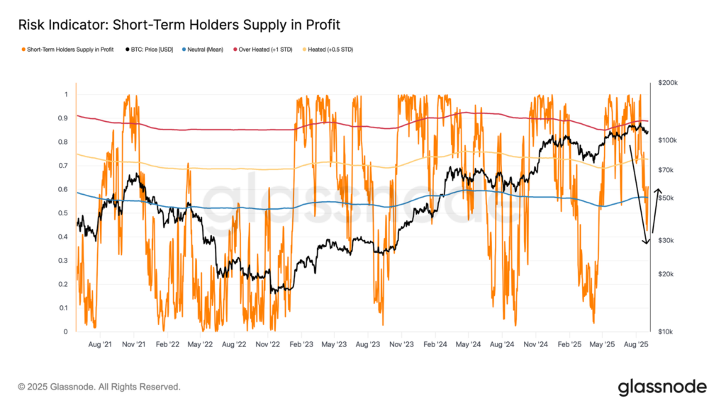 Graphic showing the price of Bitcoin in black and short -term holders in orange profit from August 2021 to August 2025, with risk thresholds marked in blue, yellow and red.